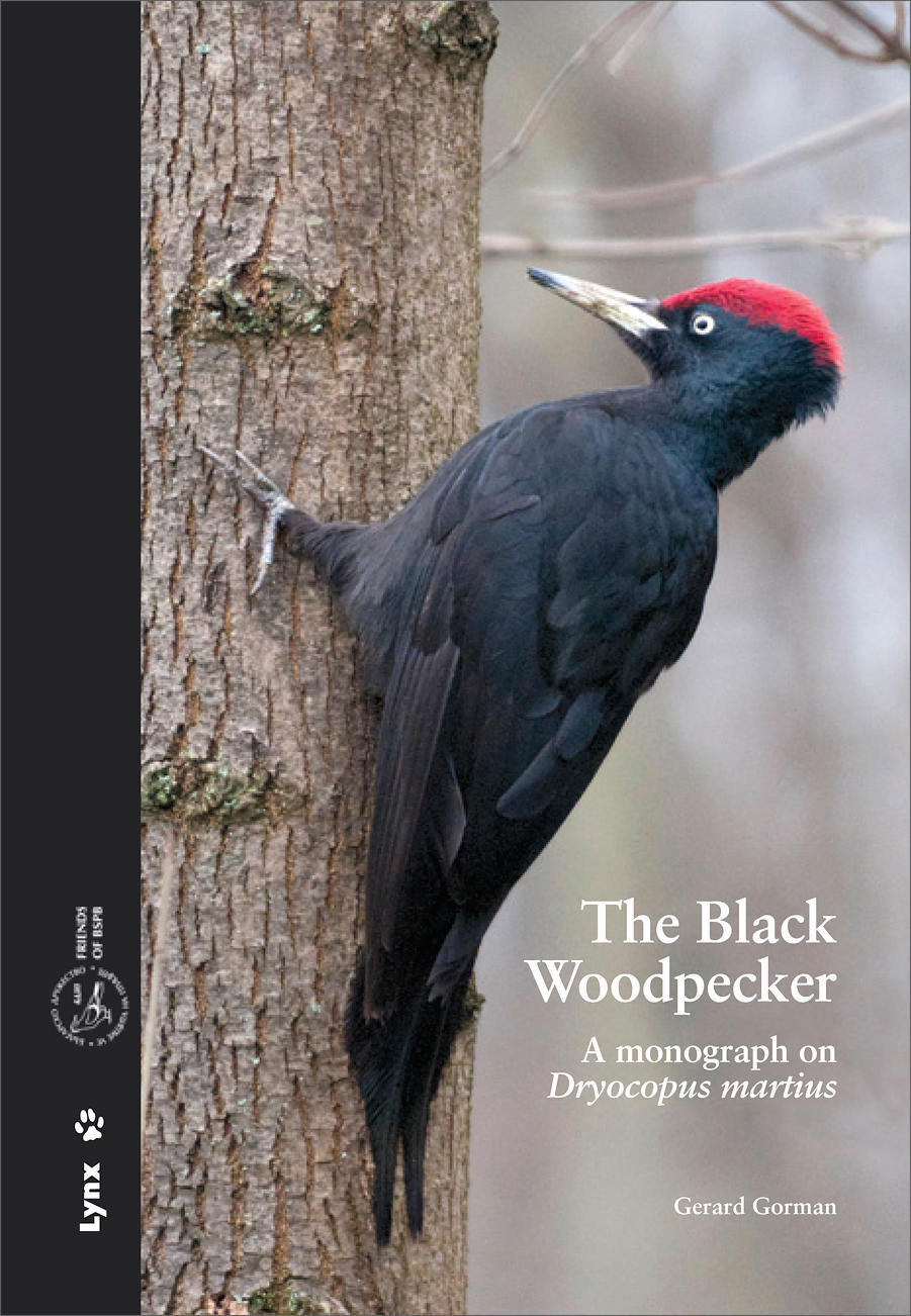 Imatge de la portada del llibre The Black Woodpecker